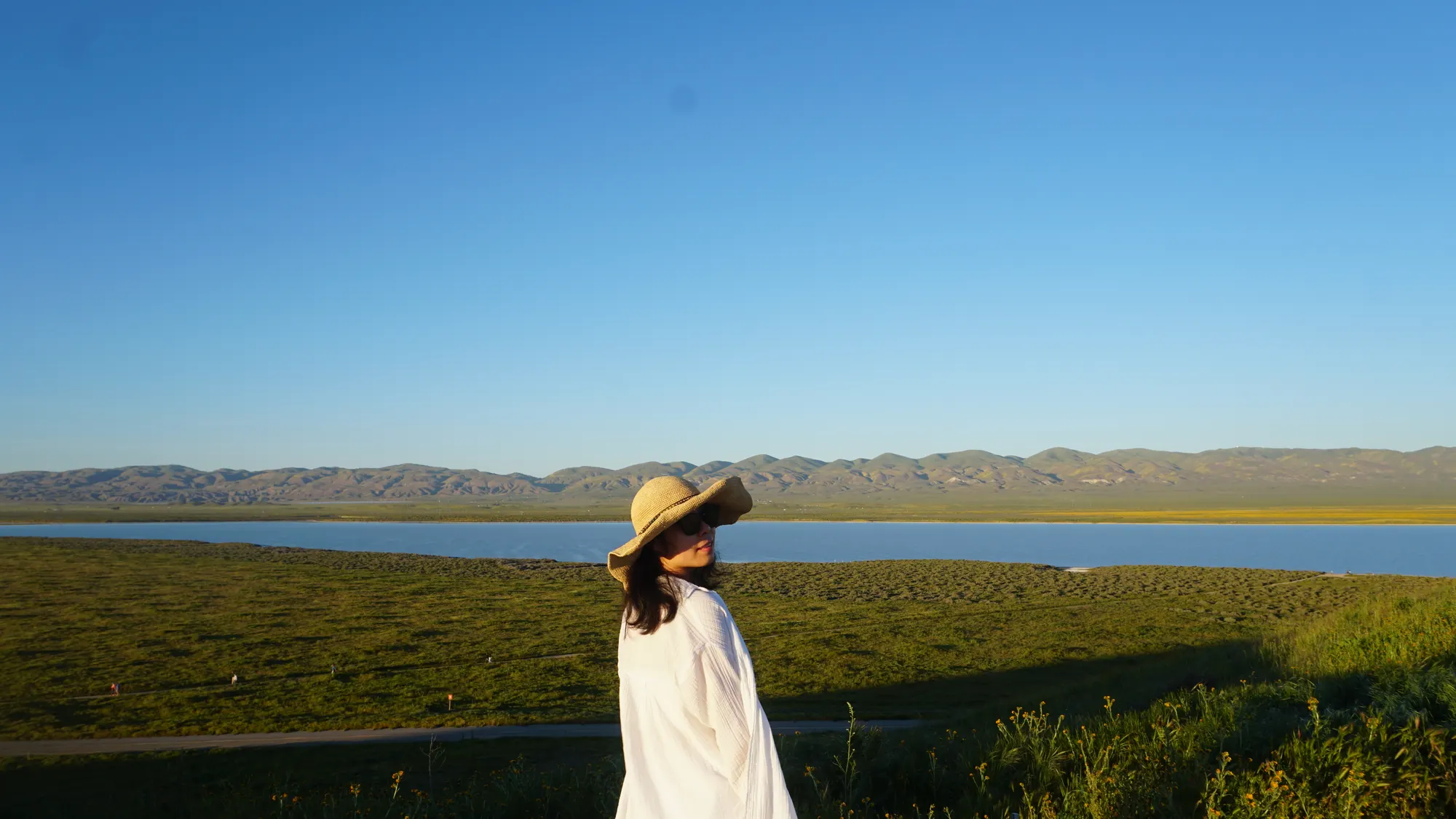 Soda Lake 夕阳花海