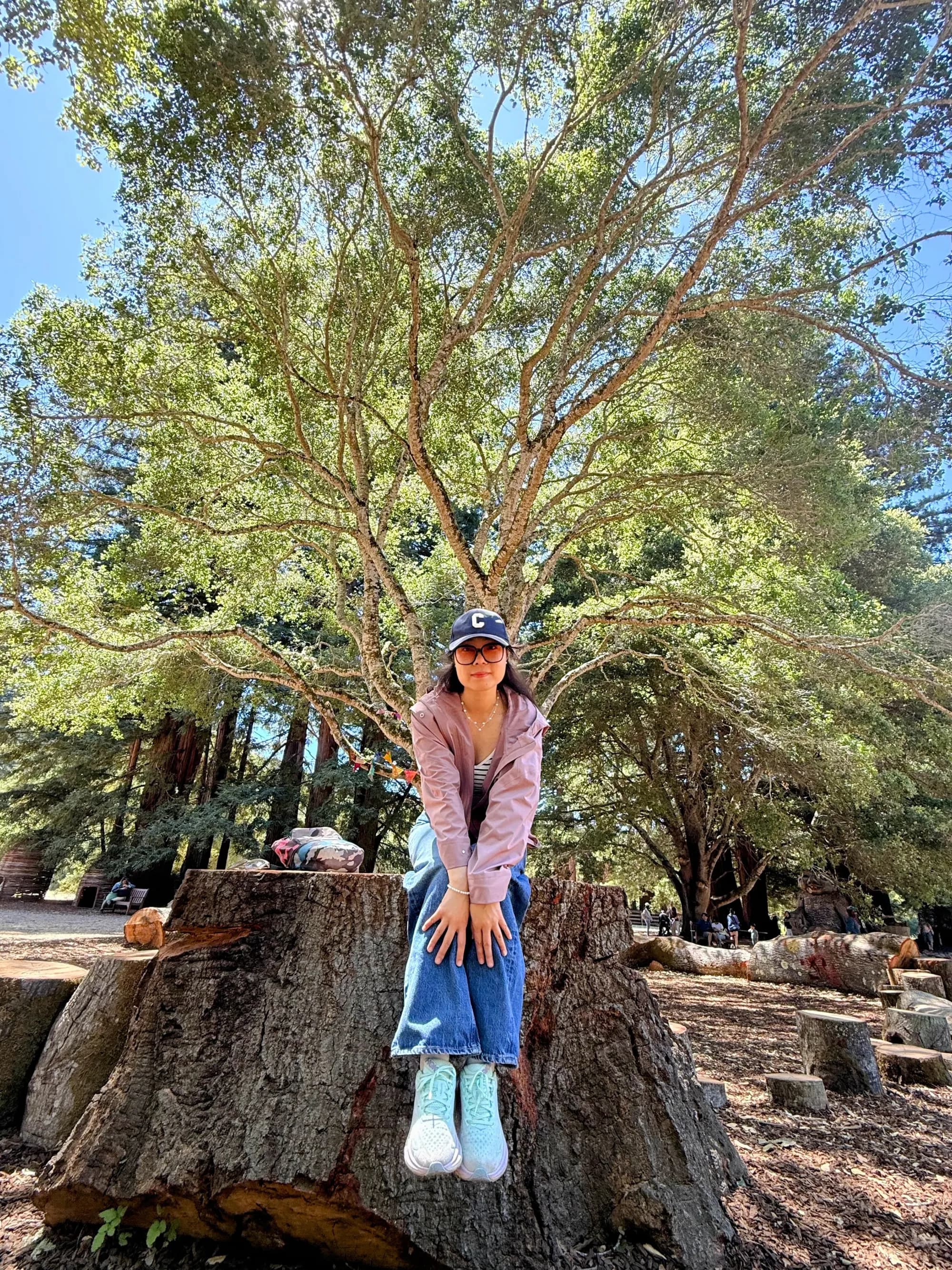 静在林地木桩边