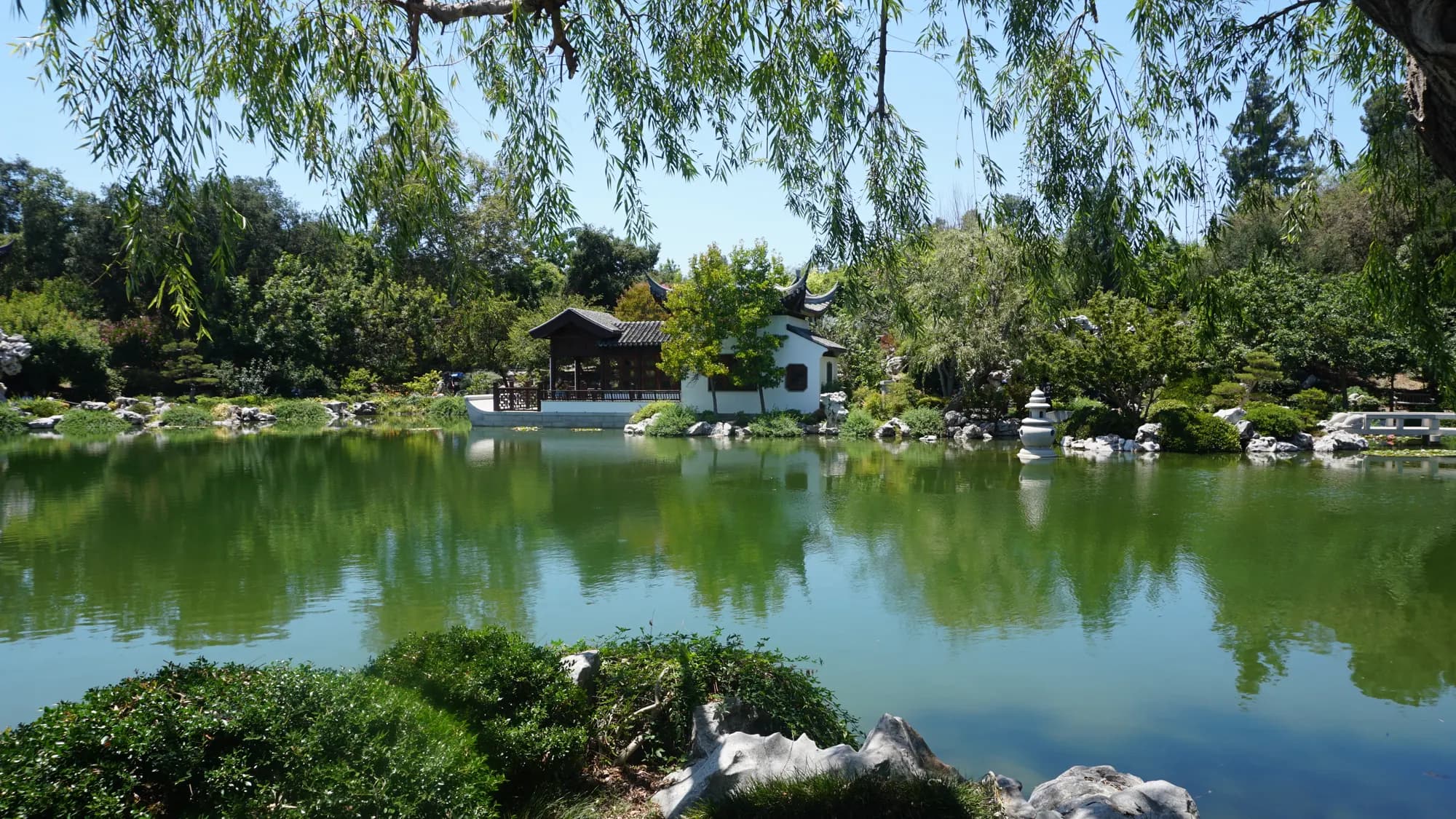 亨廷顿图书馆与植物园 2026｜一天逛遍日式、中式和玫瑰花园