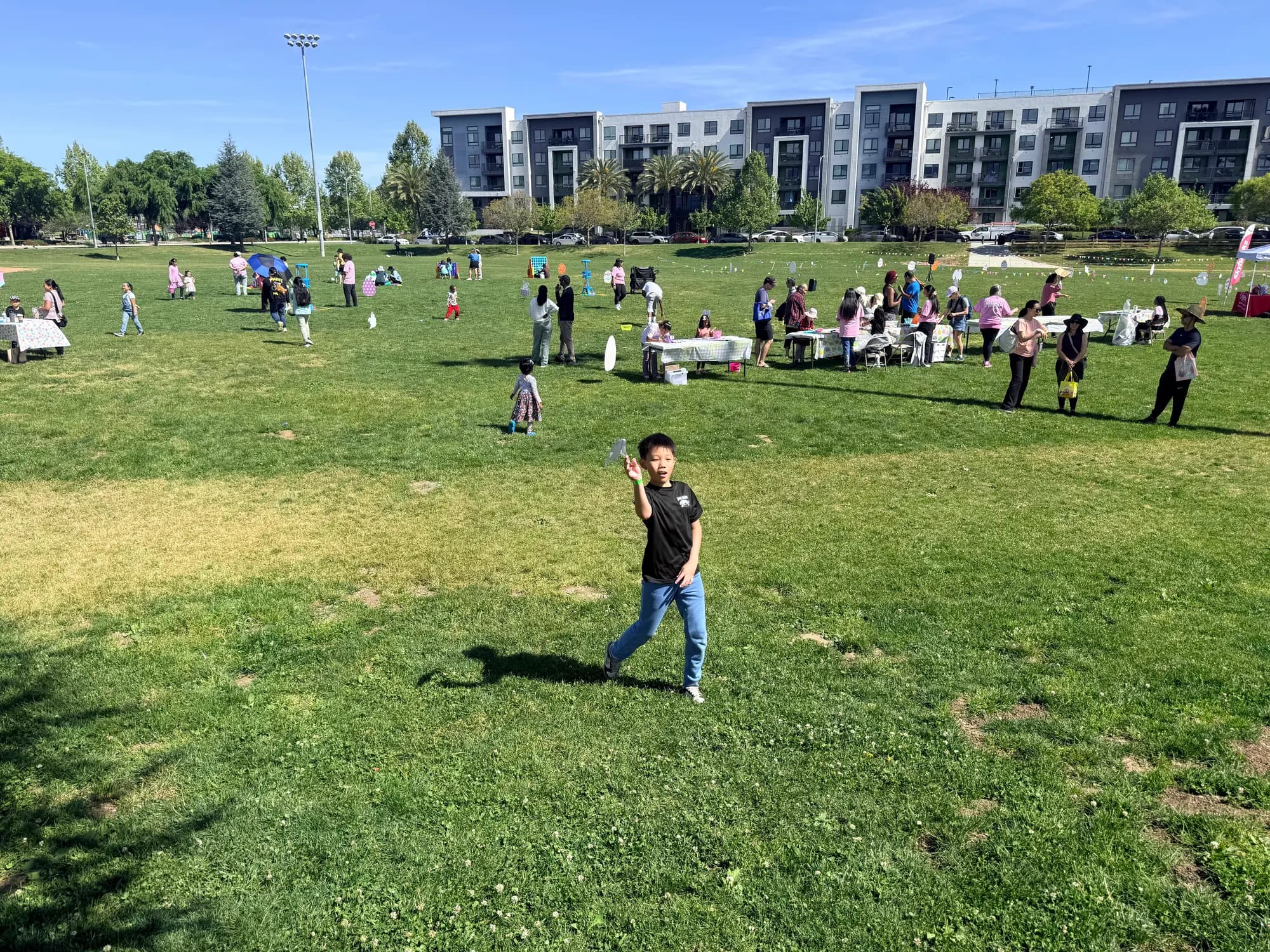 活动主草地全景