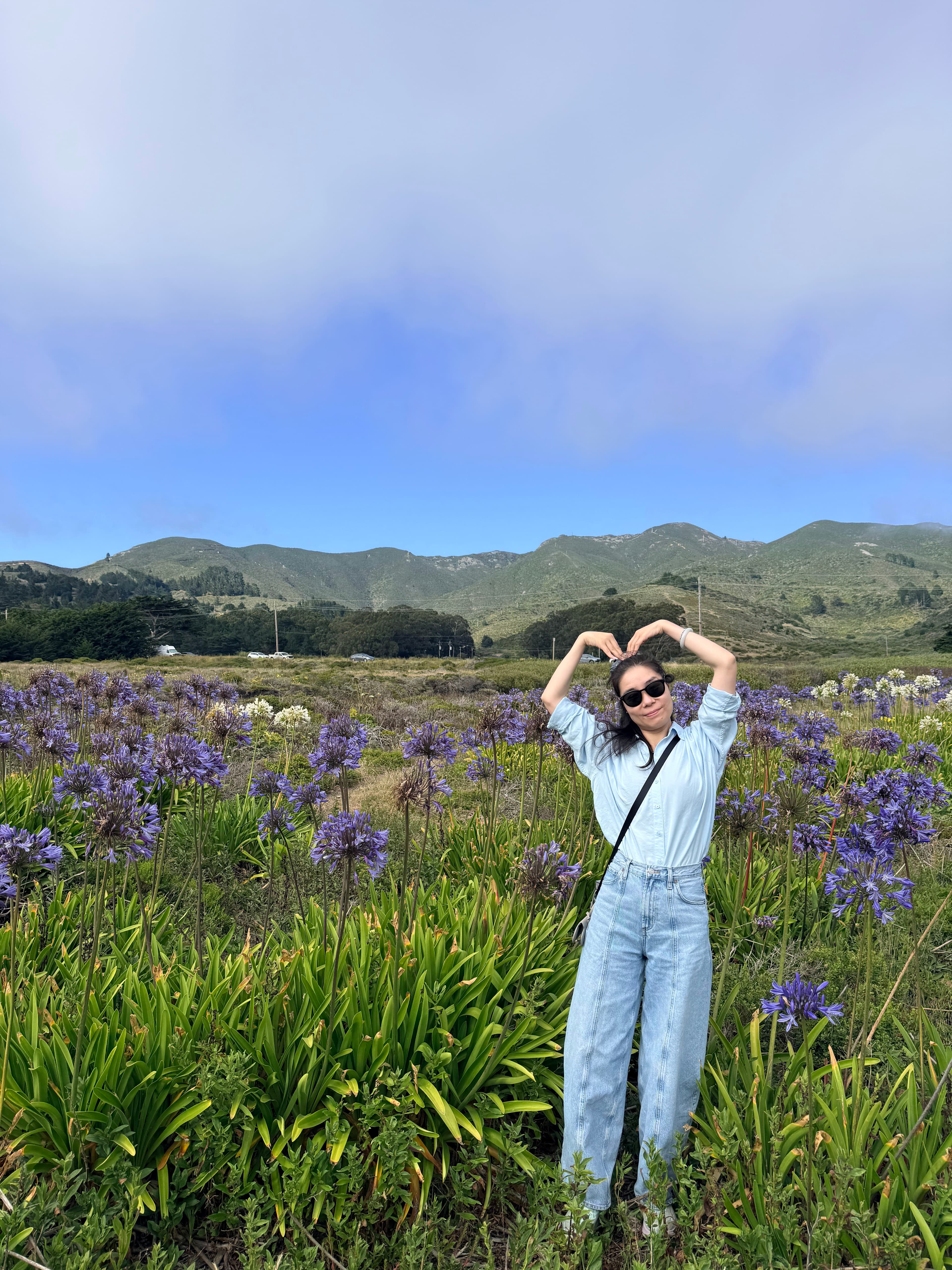 紫色 agapanthus 和海岸山地
