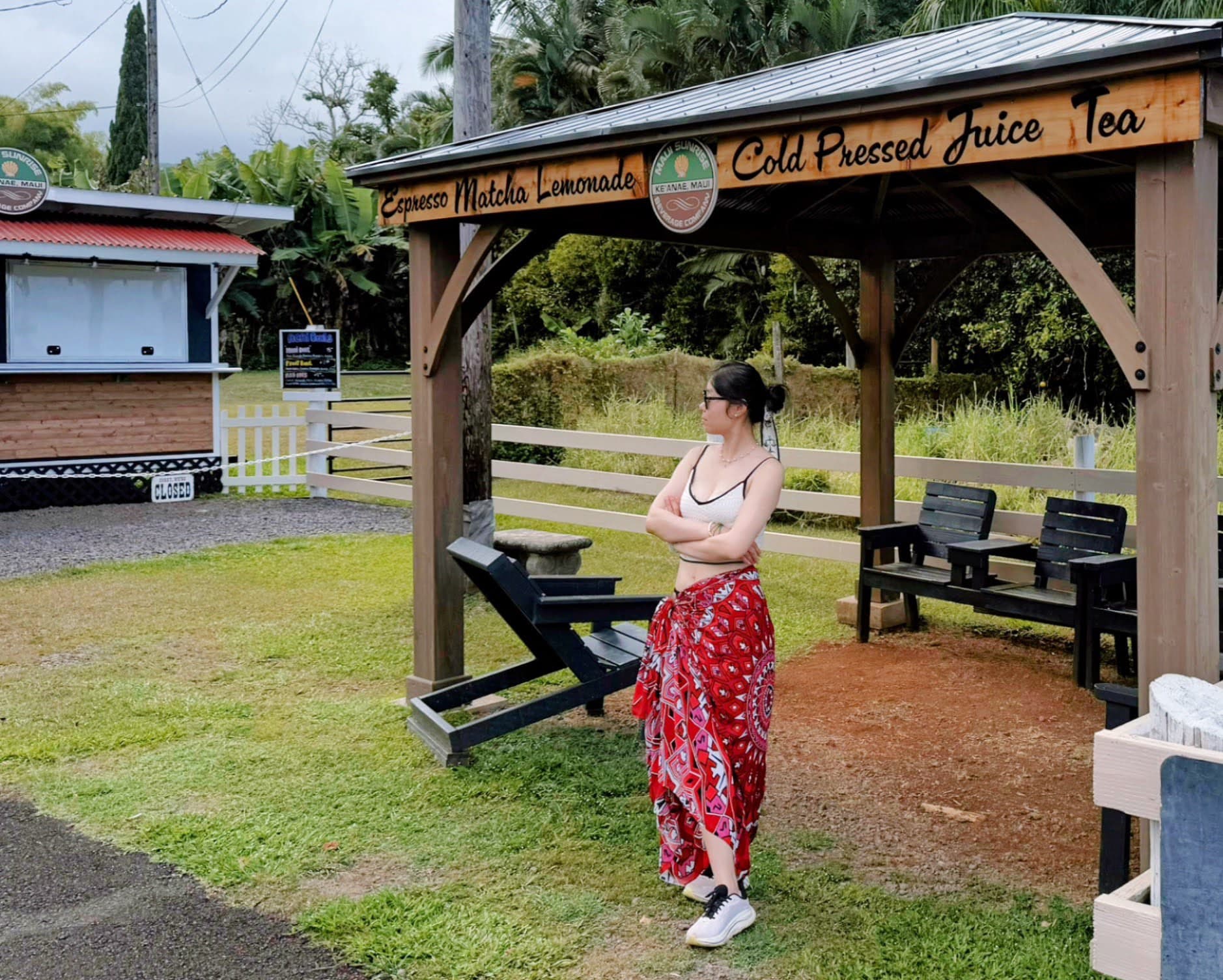 Day 4 Haleakala 云雾公路