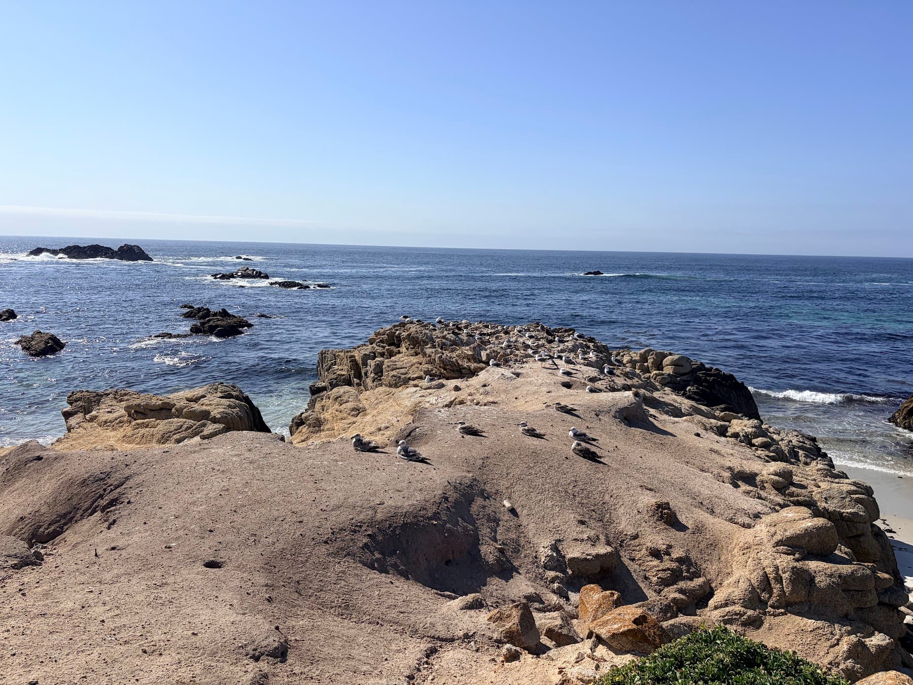 Bird Rock 海岸线和礁石