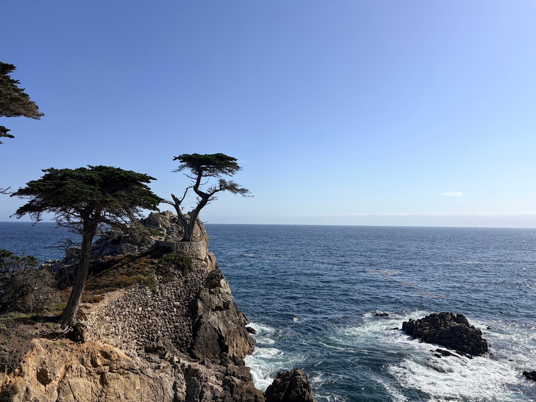 Lone Cypress 和海岸线