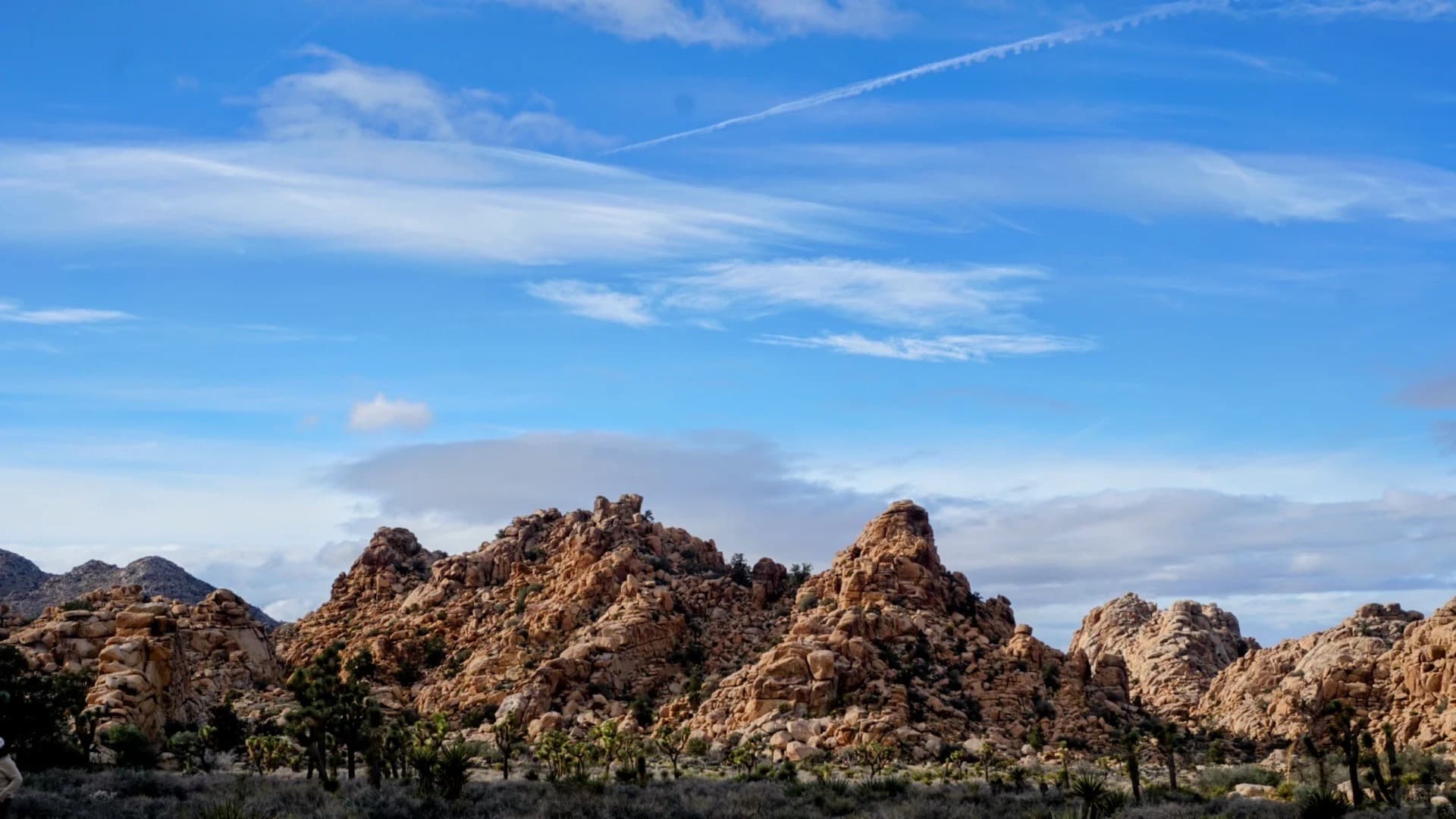 Day 1 Joshua Tree 2