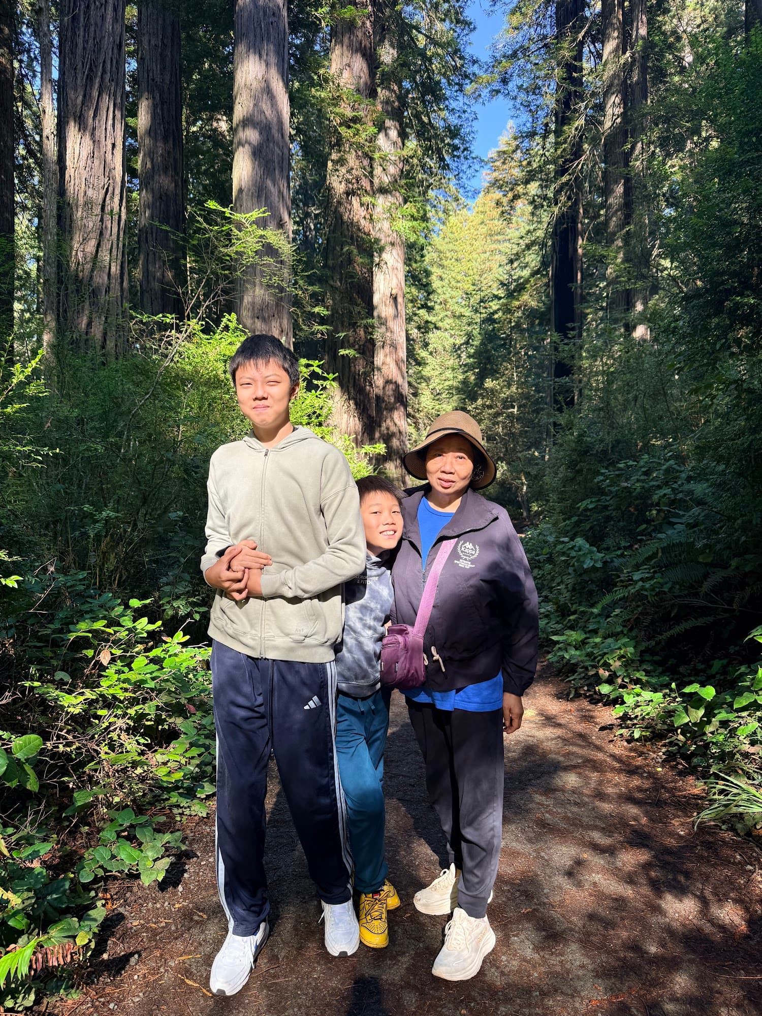 Family photo in the redwood forest