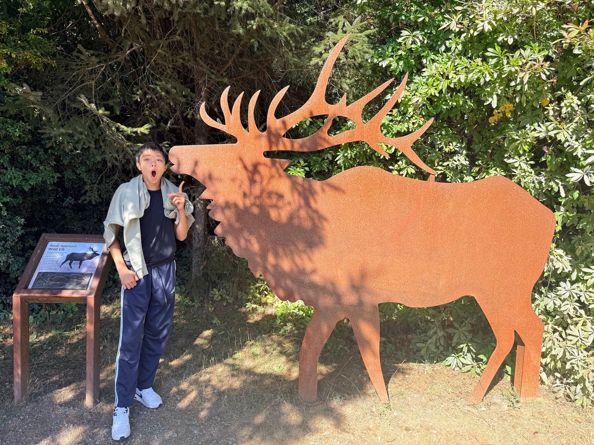 Elk sculpture at the Prairie Creek visitor center