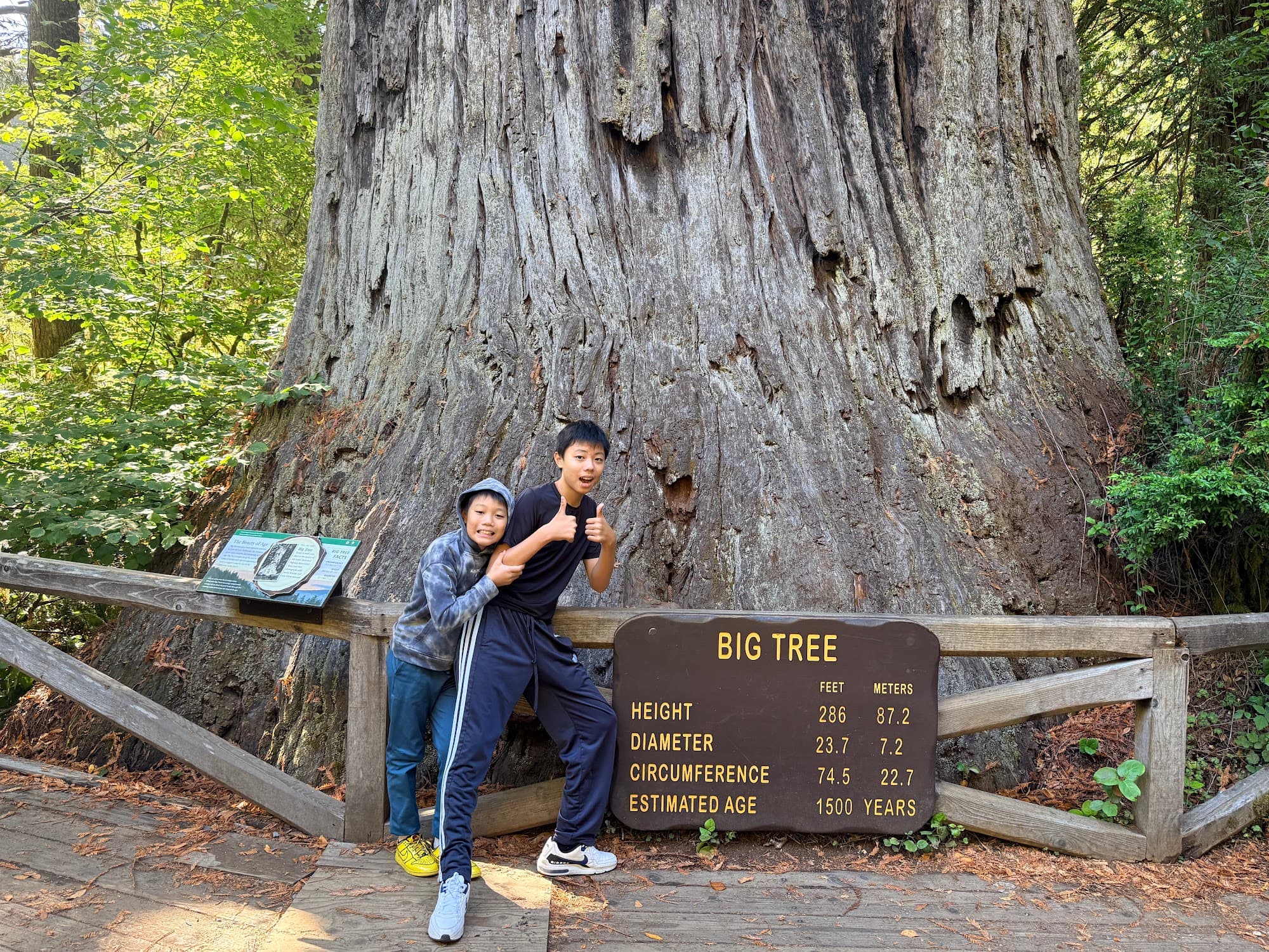 The brothers at Big Tree