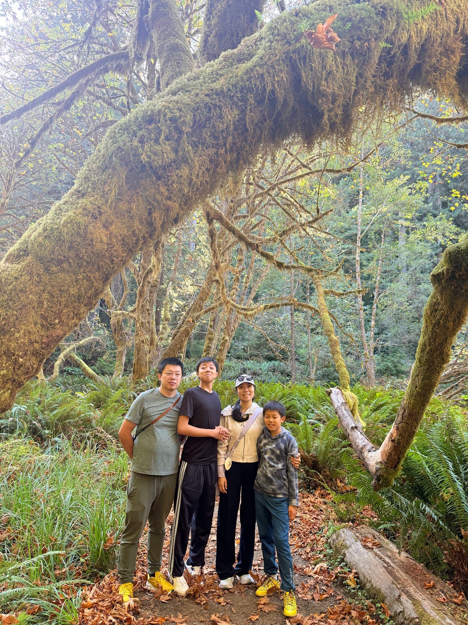 Group photo in the mossy forest