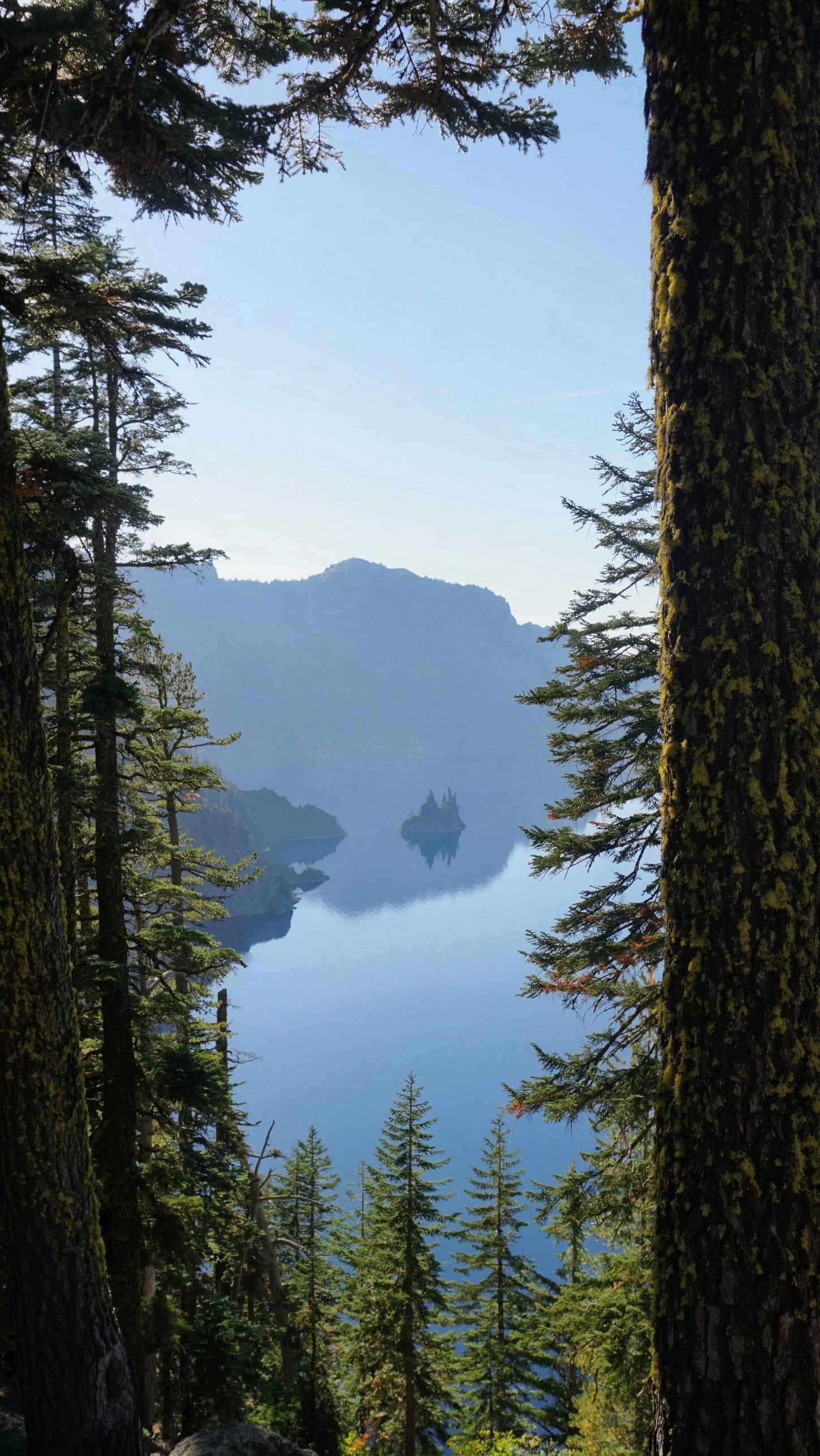 Phantom Ship through the trees