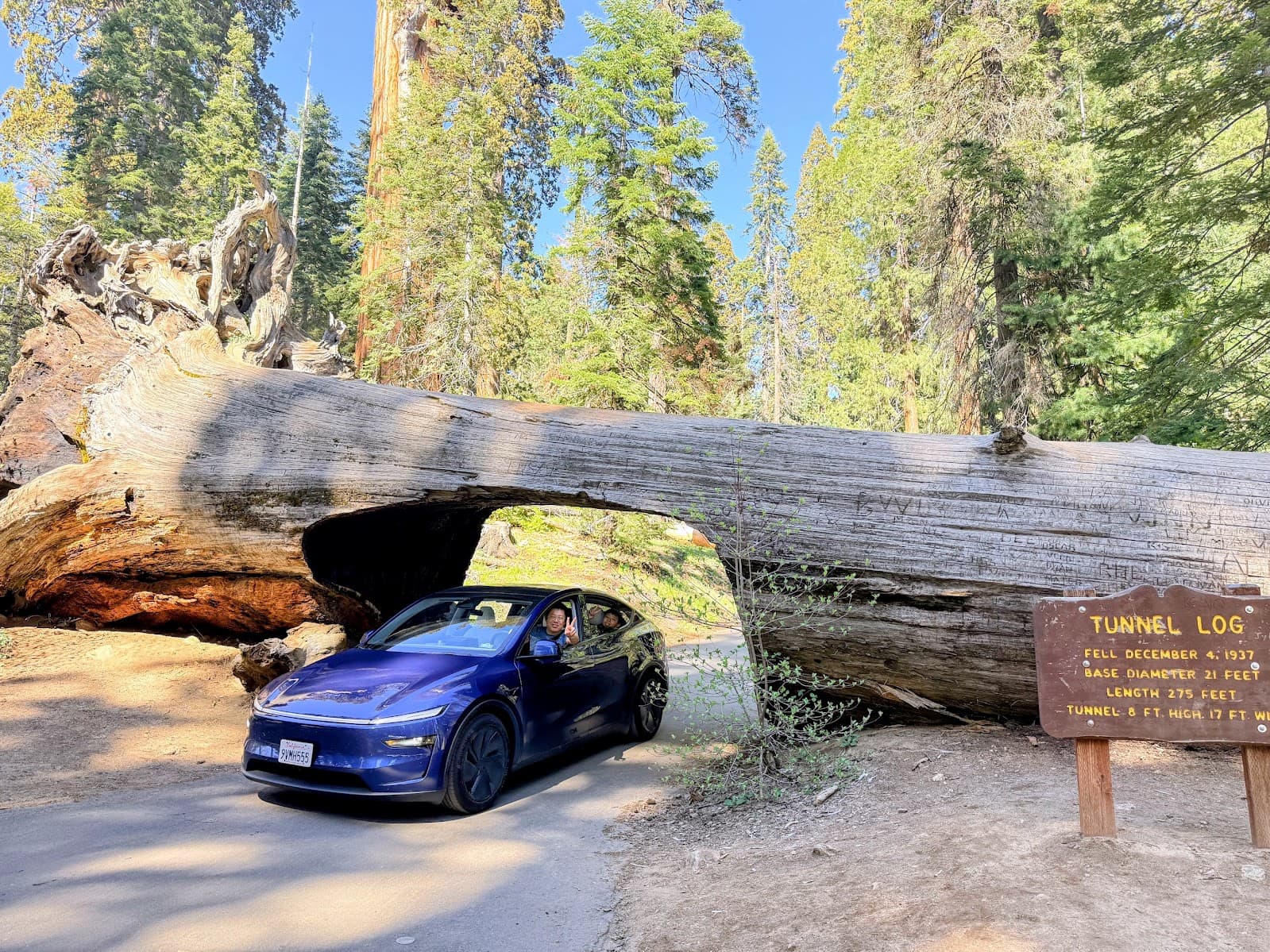 Tunnel Log 车洞打卡