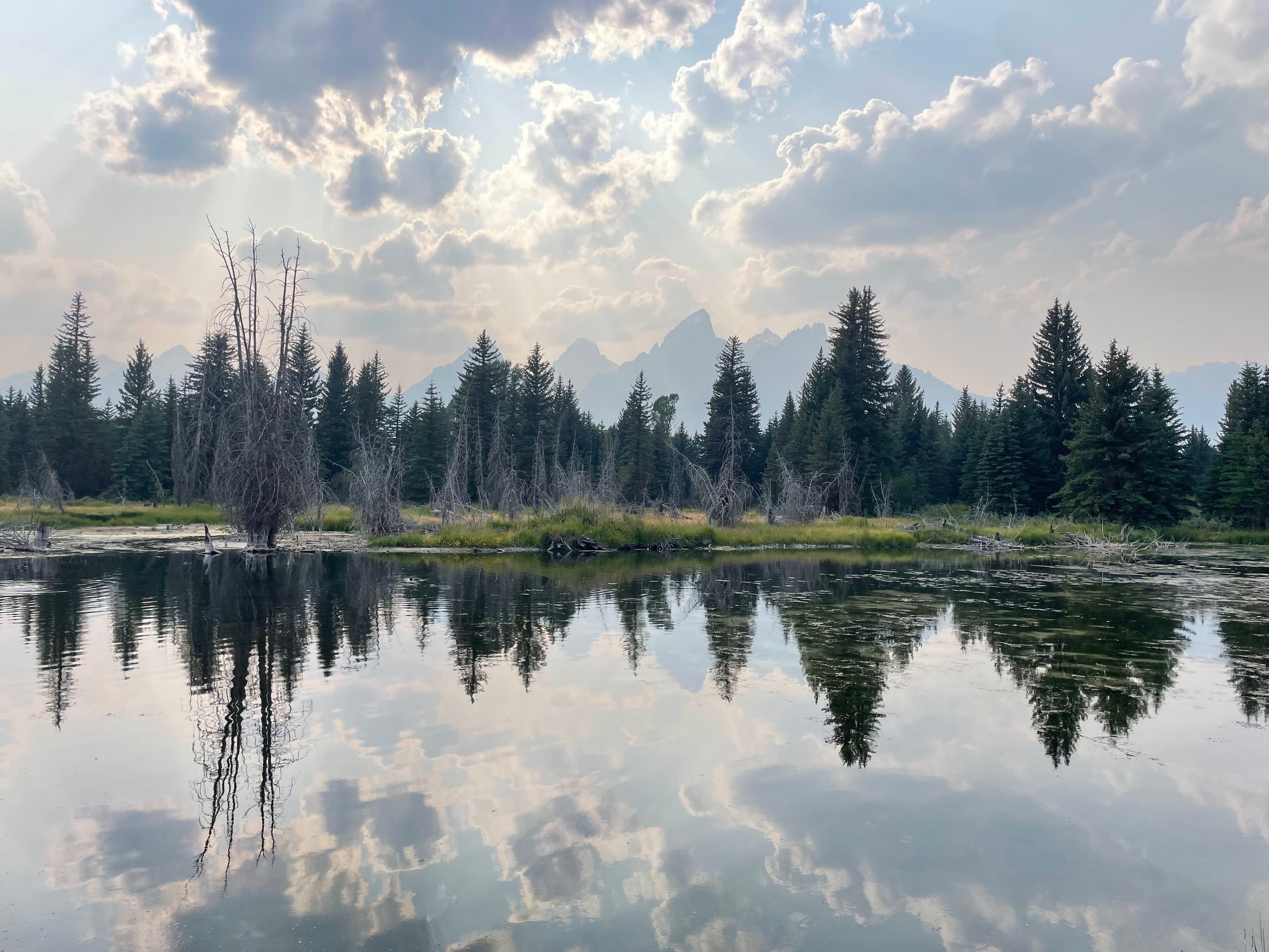 Teton & Yellowstone 2024｜9天公路旅行实录