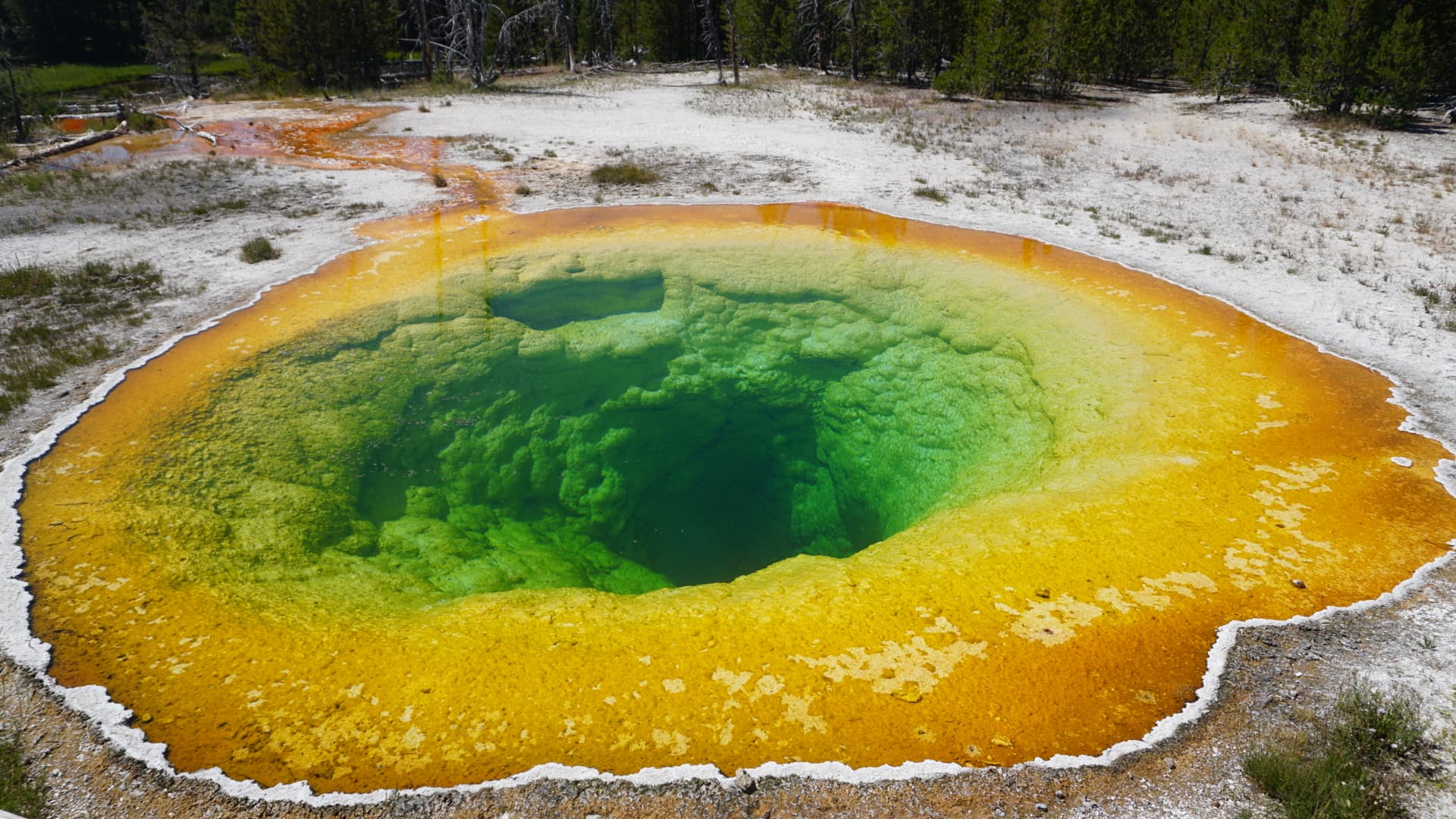Day 4 Geyser 1