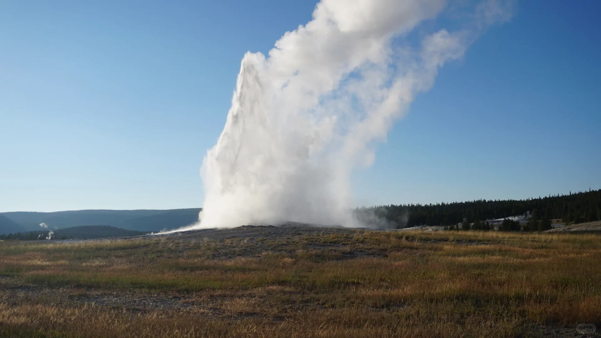 Day 4 Geyser 6