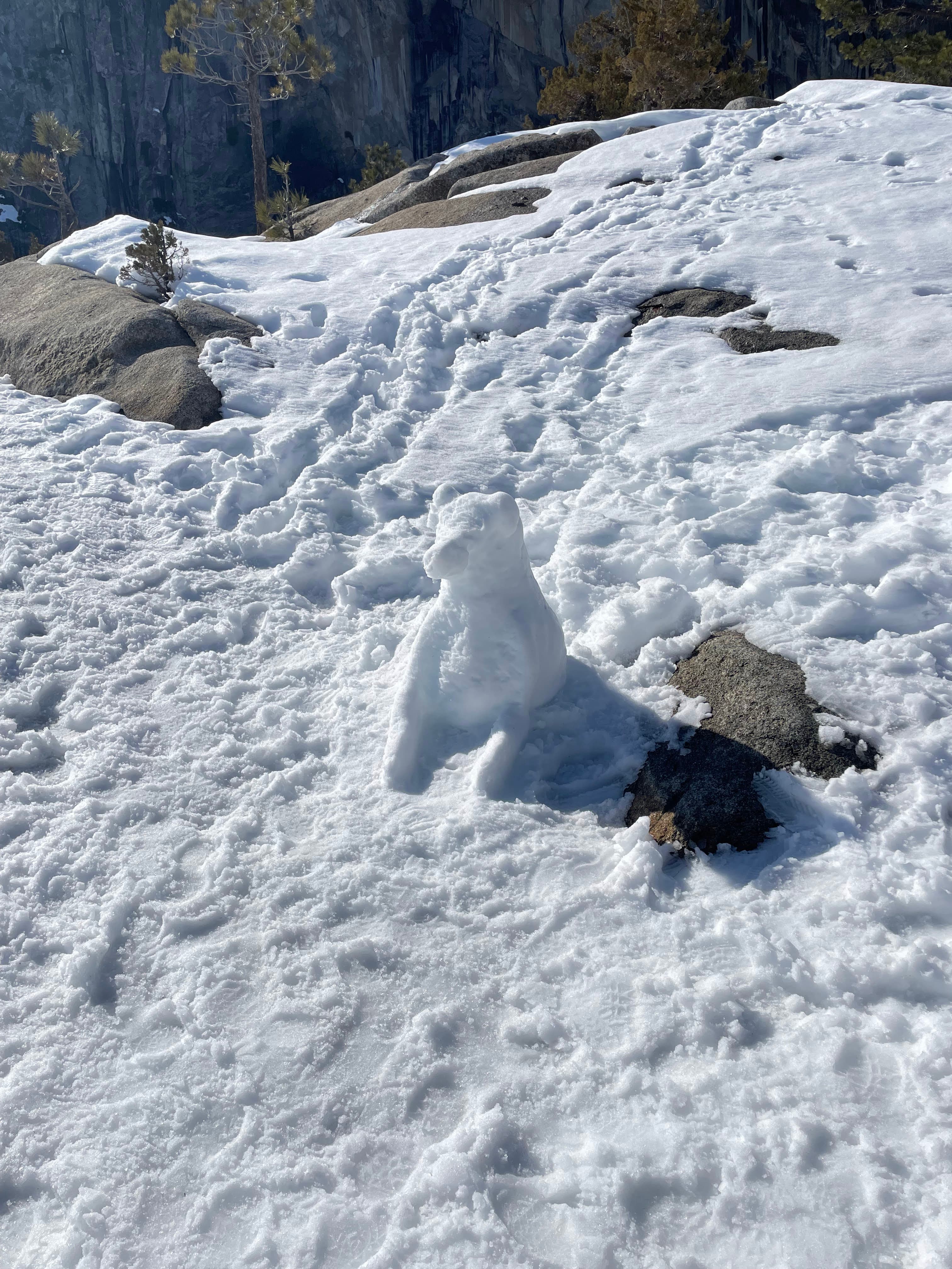 Yosemite Falls Trail 沿线雪地