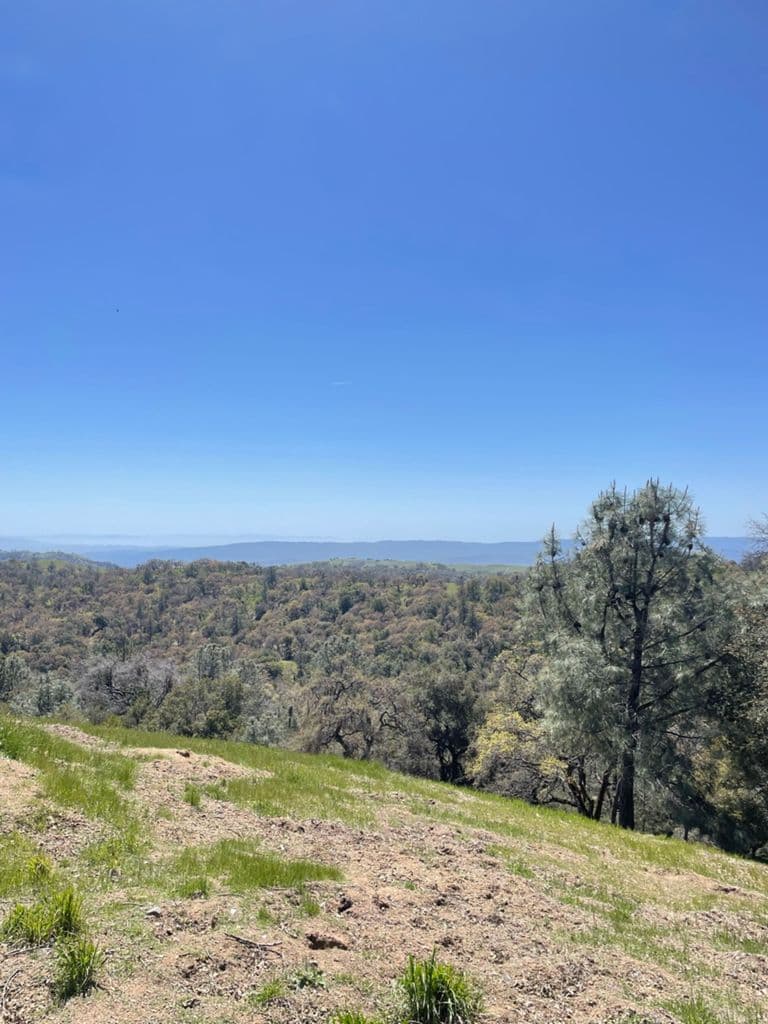 Open hillside view from the Henry Coe ride