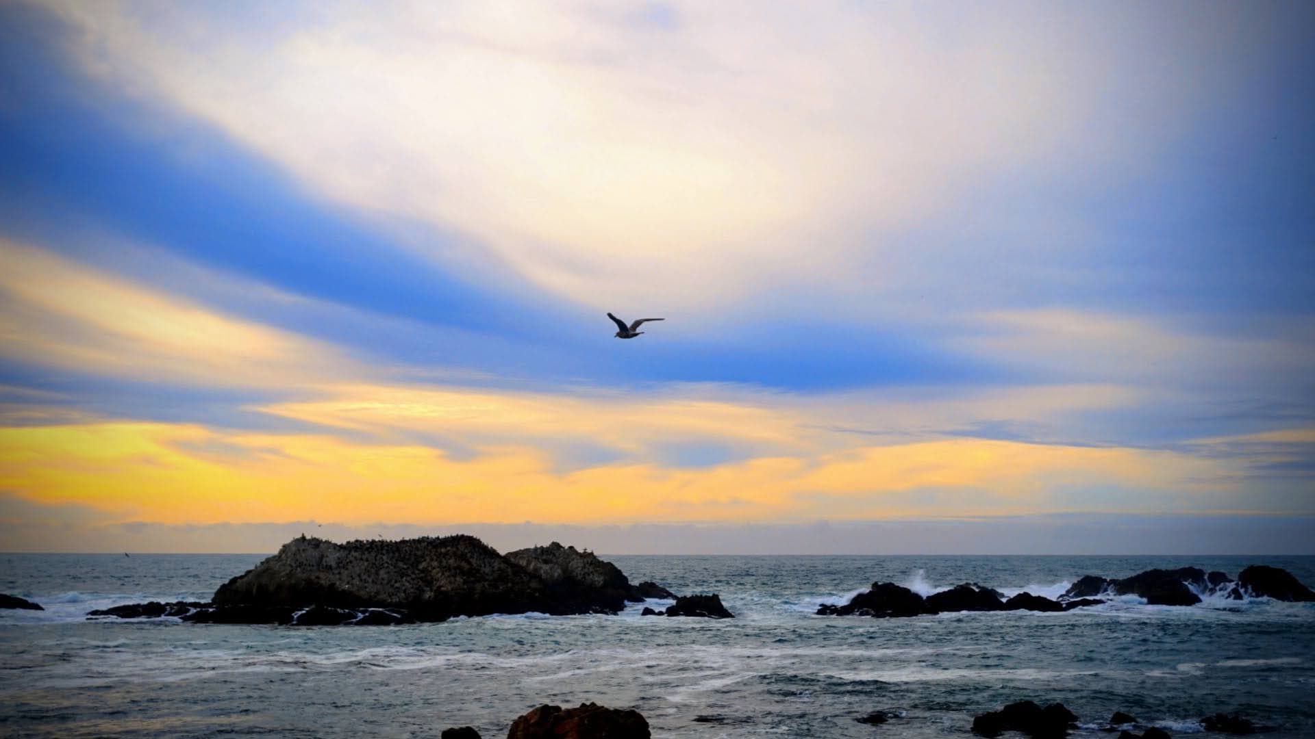 Monterey & 17-Mile Drive 2024|圣诞海边随走