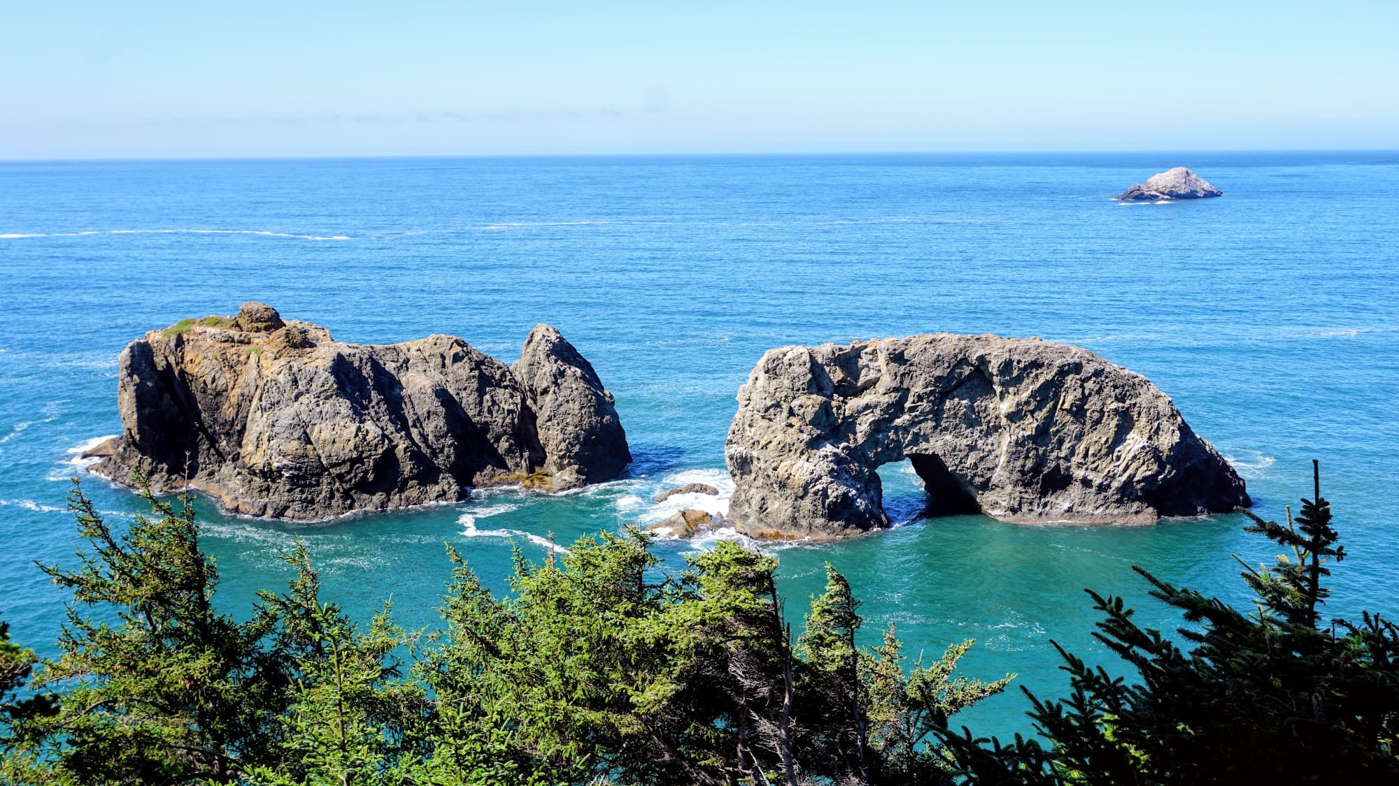 Redwood & Oregon Road Trip 2026|红杉、101 海岸、回母校,再看一次火山湖